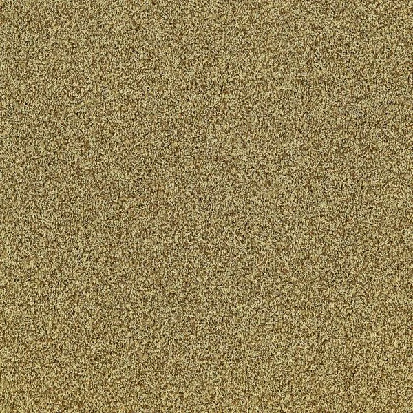 bricoflor20260613061208235561