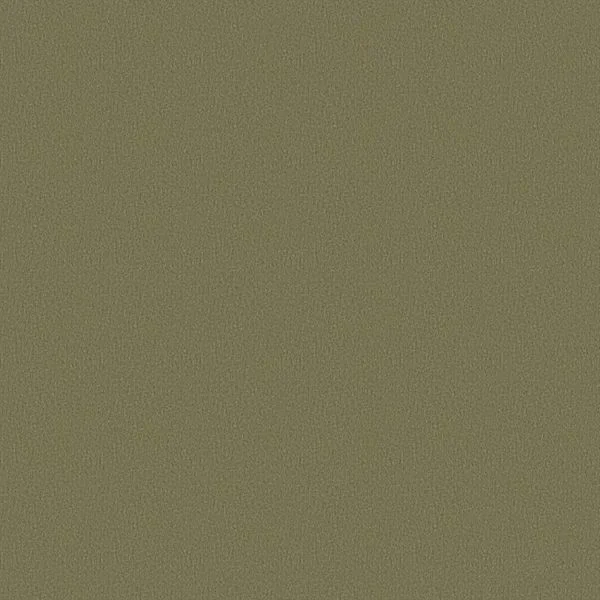 bricoflor20260613062050236468