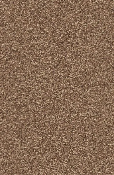 bricoflor20260613062309236712