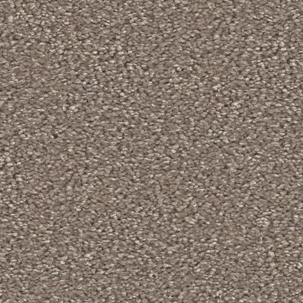 bricoflor20260613062323236733