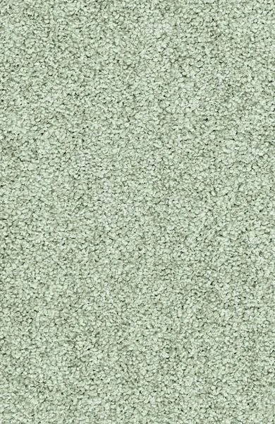 bricoflor20260613062849237271
