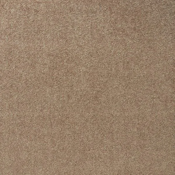 bricoflor20260613062852237274