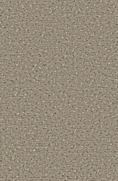 bricoflor20260613063714238165