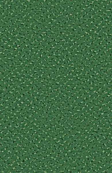 bricoflor20260613063719238174