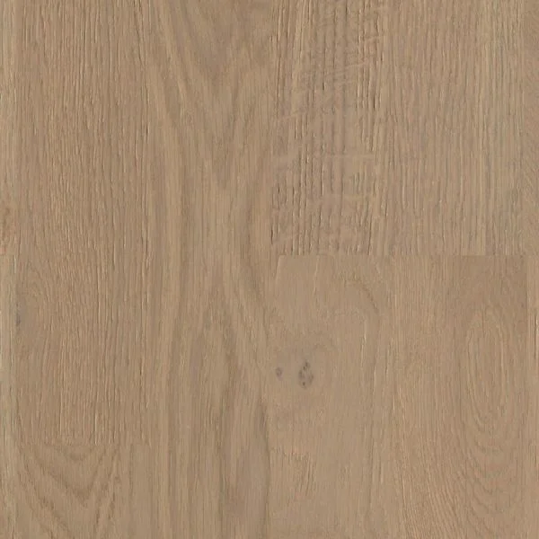 bricoflor20260613063736238204