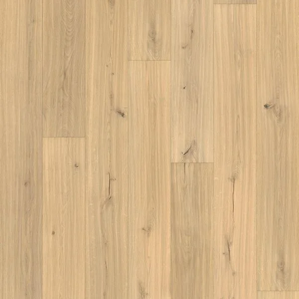 bricoflor20260613063802238248