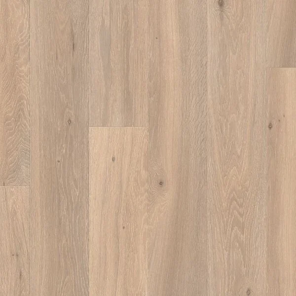 bricoflor20260613063901238352