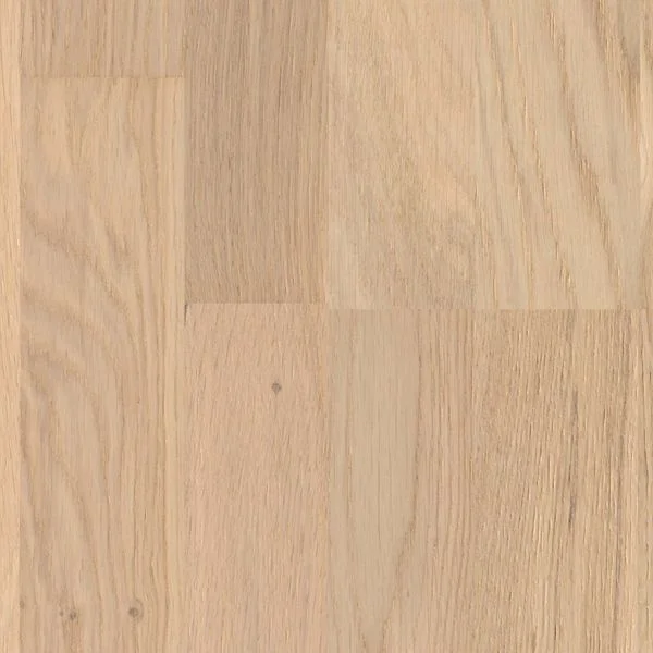 bricoflor20260613064020238487
