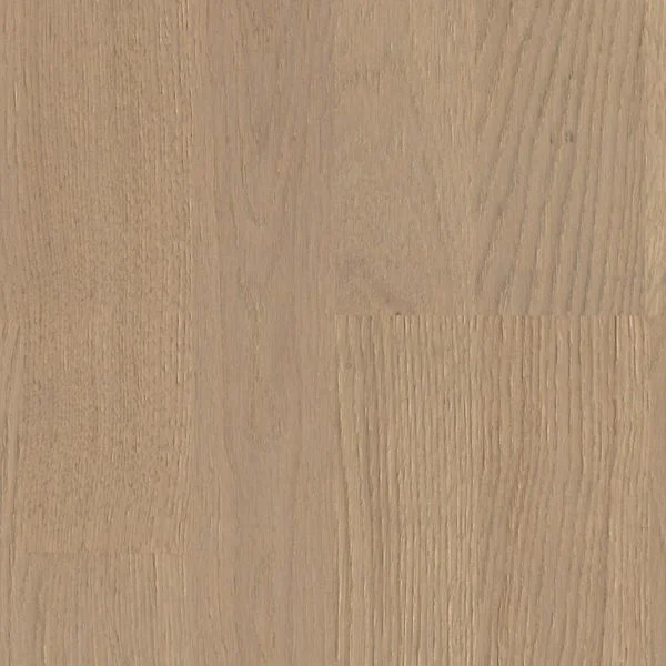 bricoflor20260613064022238490