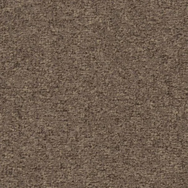 bricoflor20260613064238238732