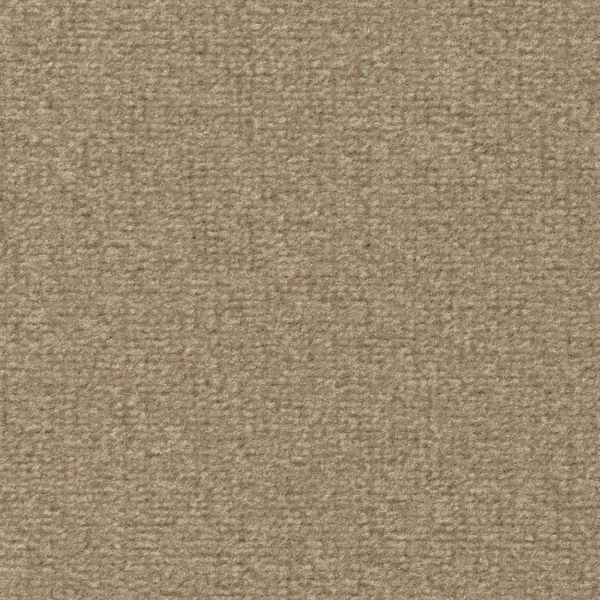 bricoflor20260613064241238739