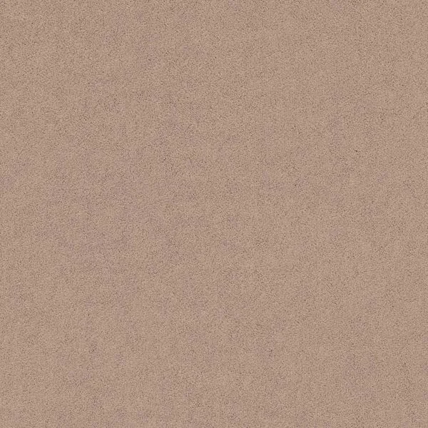 bricoflor20260613064802239279