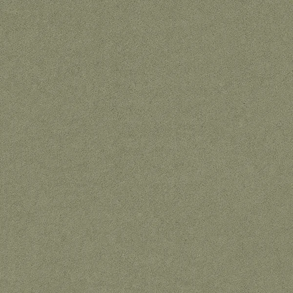 bricoflor20260613064807239290