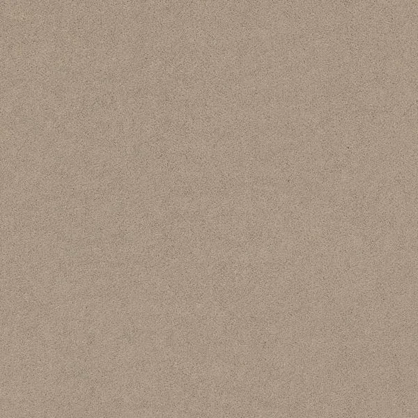 bricoflor20260613064817239305