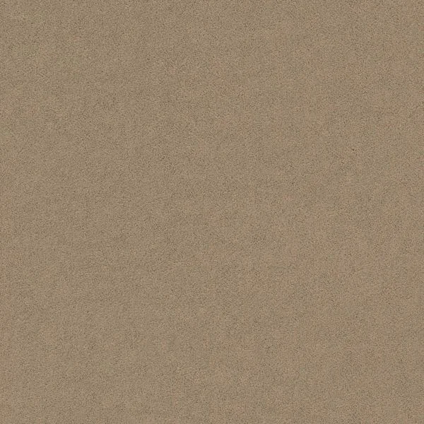 bricoflor20260613064818239307