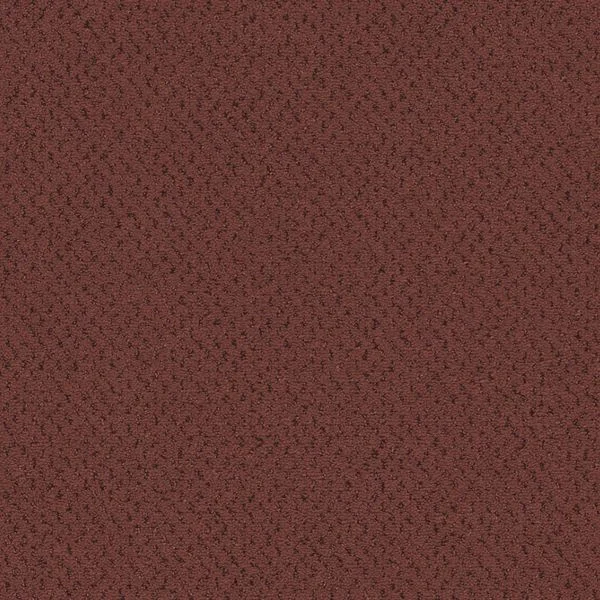 bricoflor20260613064823239318