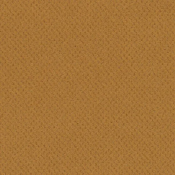 bricoflor20260613064825239322