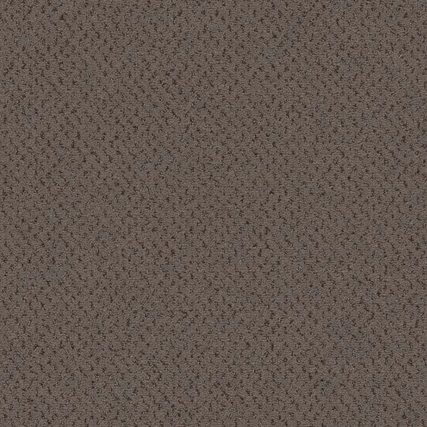 bricoflor20260613064835239339