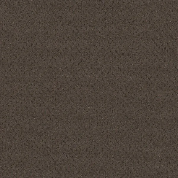 bricoflor20260613064841239351