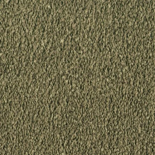bricoflor20260613065004239500