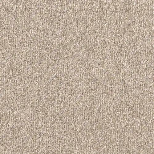 bricoflor20260613065109239613