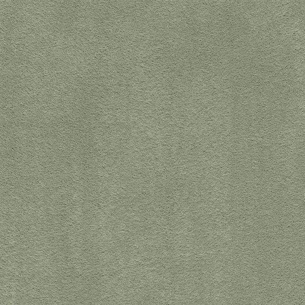 bricoflor20260613065256239797