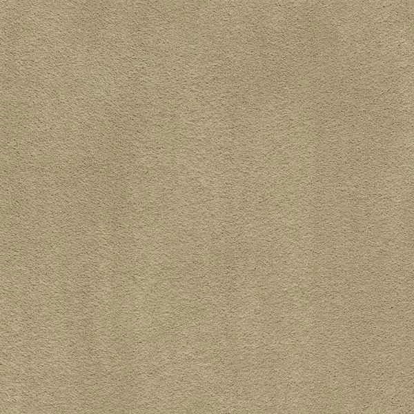 bricoflor20260613065310239820
