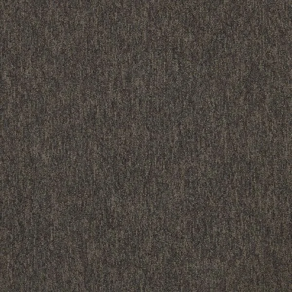 bricoflor20260613065457240001