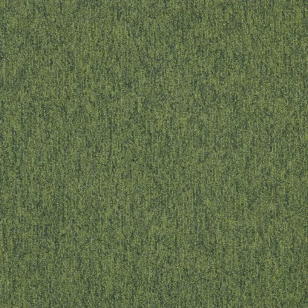 bricoflor20260613065513240027