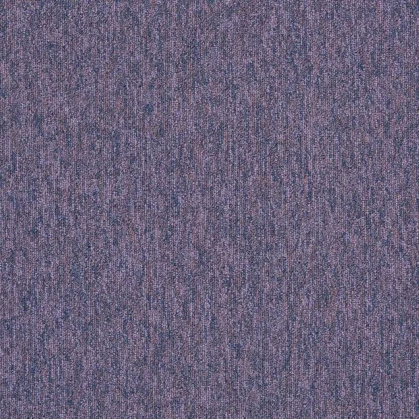 bricoflor20260613065520240037