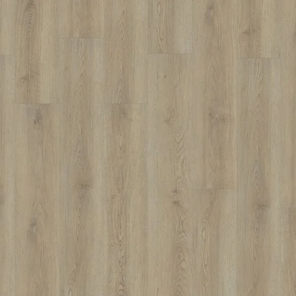 bricoflor20260613065824240342