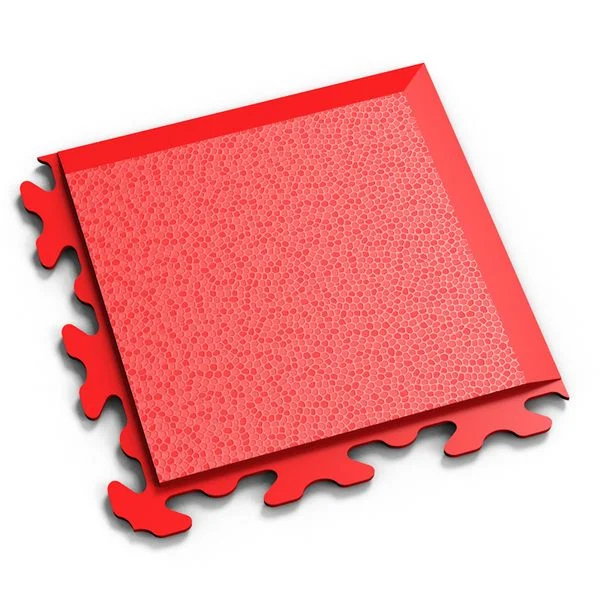 bricoflor20260613070053240594
