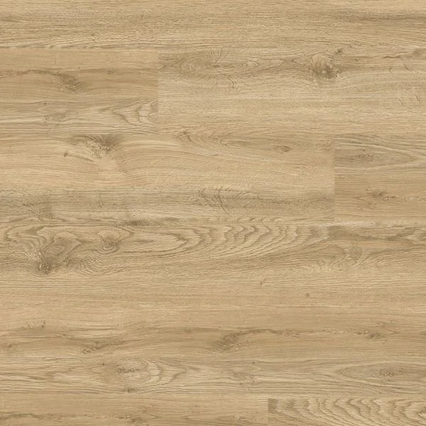 bricoflor20260613070919241198