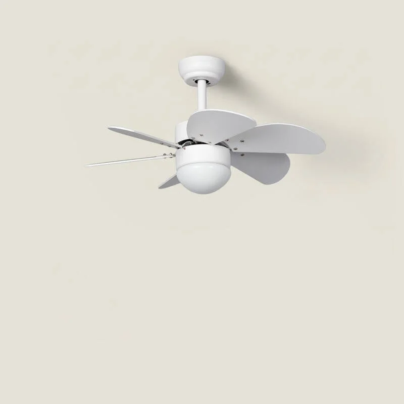 ledkia202606081713563295793