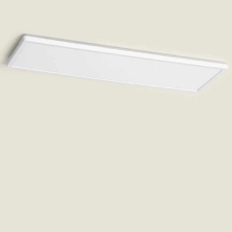 ledkia202606081738313300299