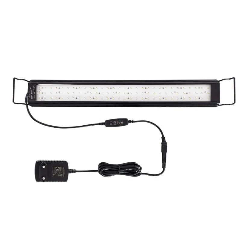 ledkia202606081826343310950