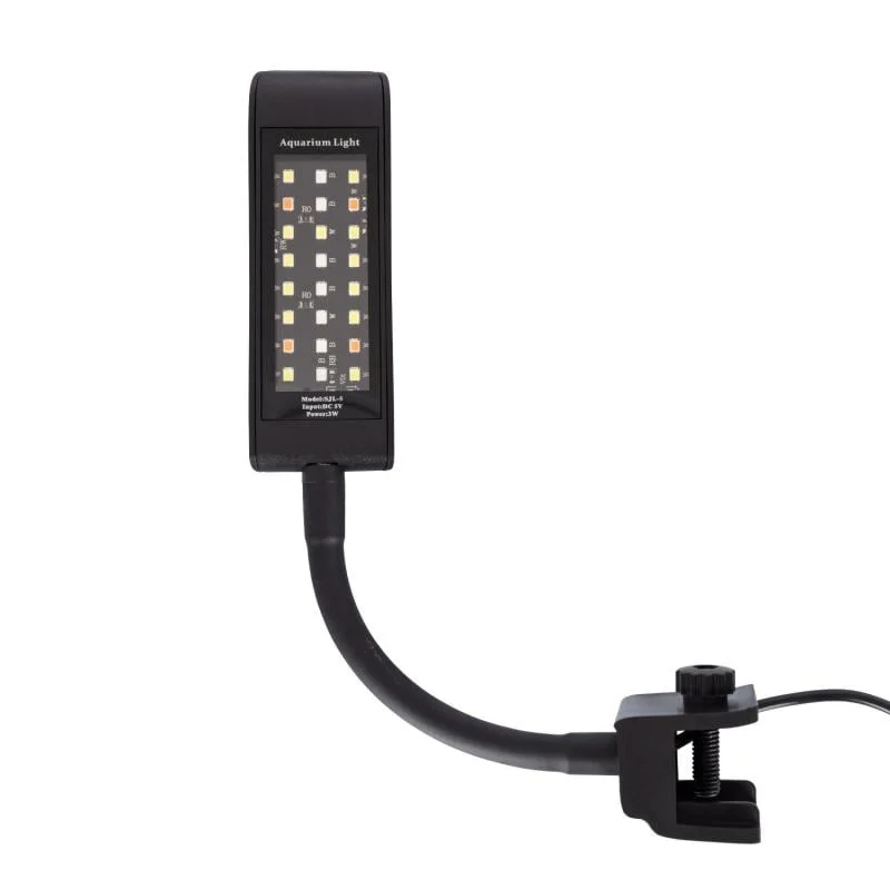 ledkia202606081826423310979