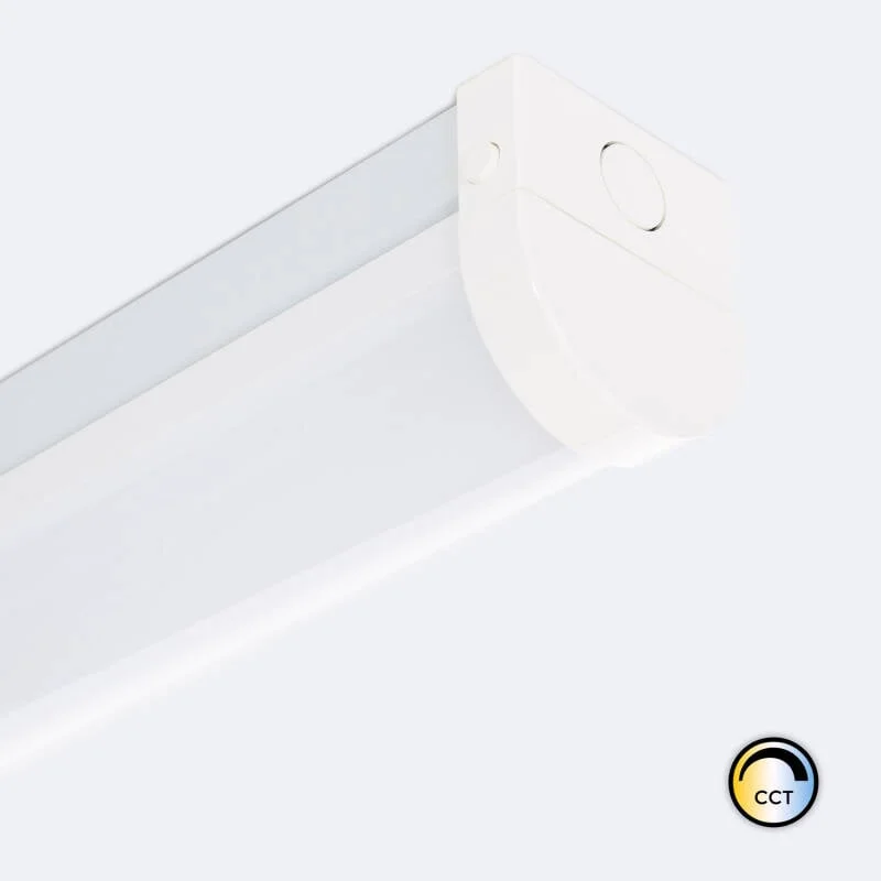 ledkia202606081931423324892