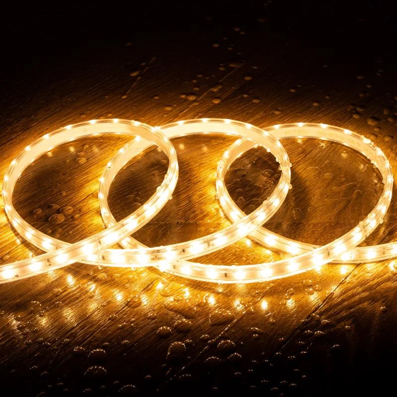 ledkia202606081946483327924