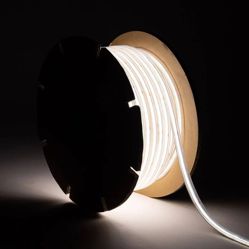 ledkia202606082005143330759