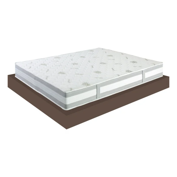 mondolegnostore20260612174525137380