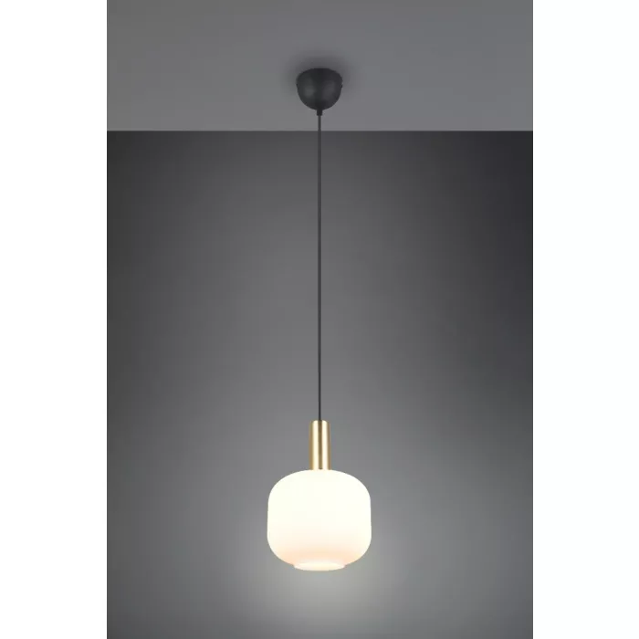 mondolegnostore20260613000511193463