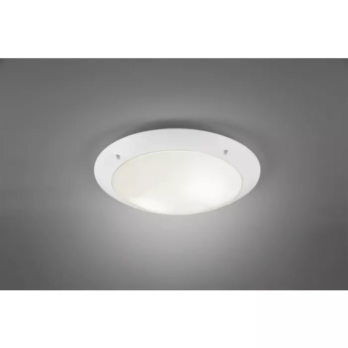 mondolegnostore20260613001522195286
