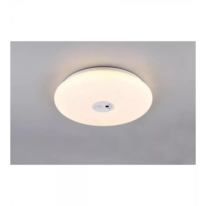 mondolegnostore20260613004408200112