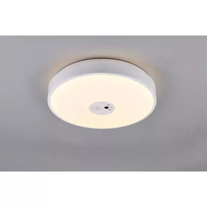 mondolegnostore20260613004412200124
