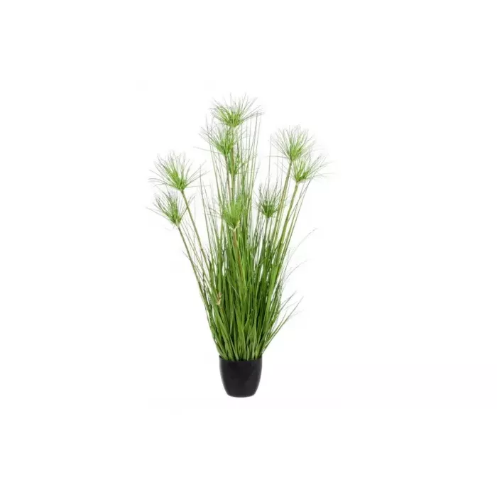 mondolegnostore20260613011655205114